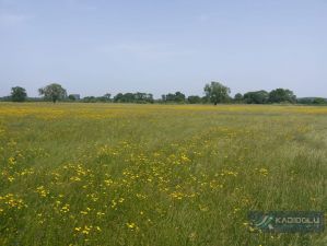 atalca_155_ada_23_parsel_34.jpeg