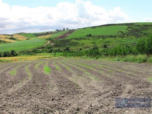 dursunkoy_107_ada_5_parsel_resim_0_29.JPG